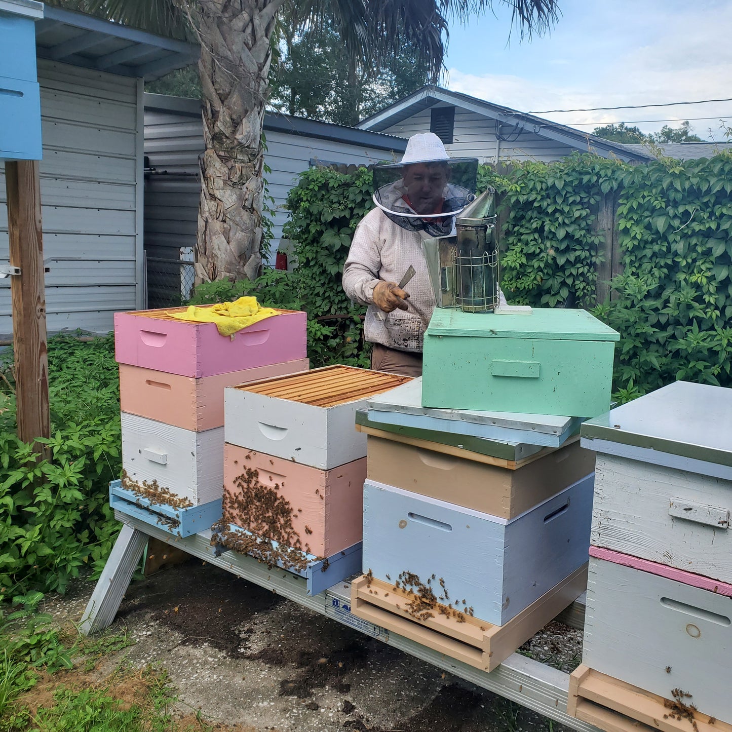 Person in a beekeeper's suit tending to colorful beehives outdoors.