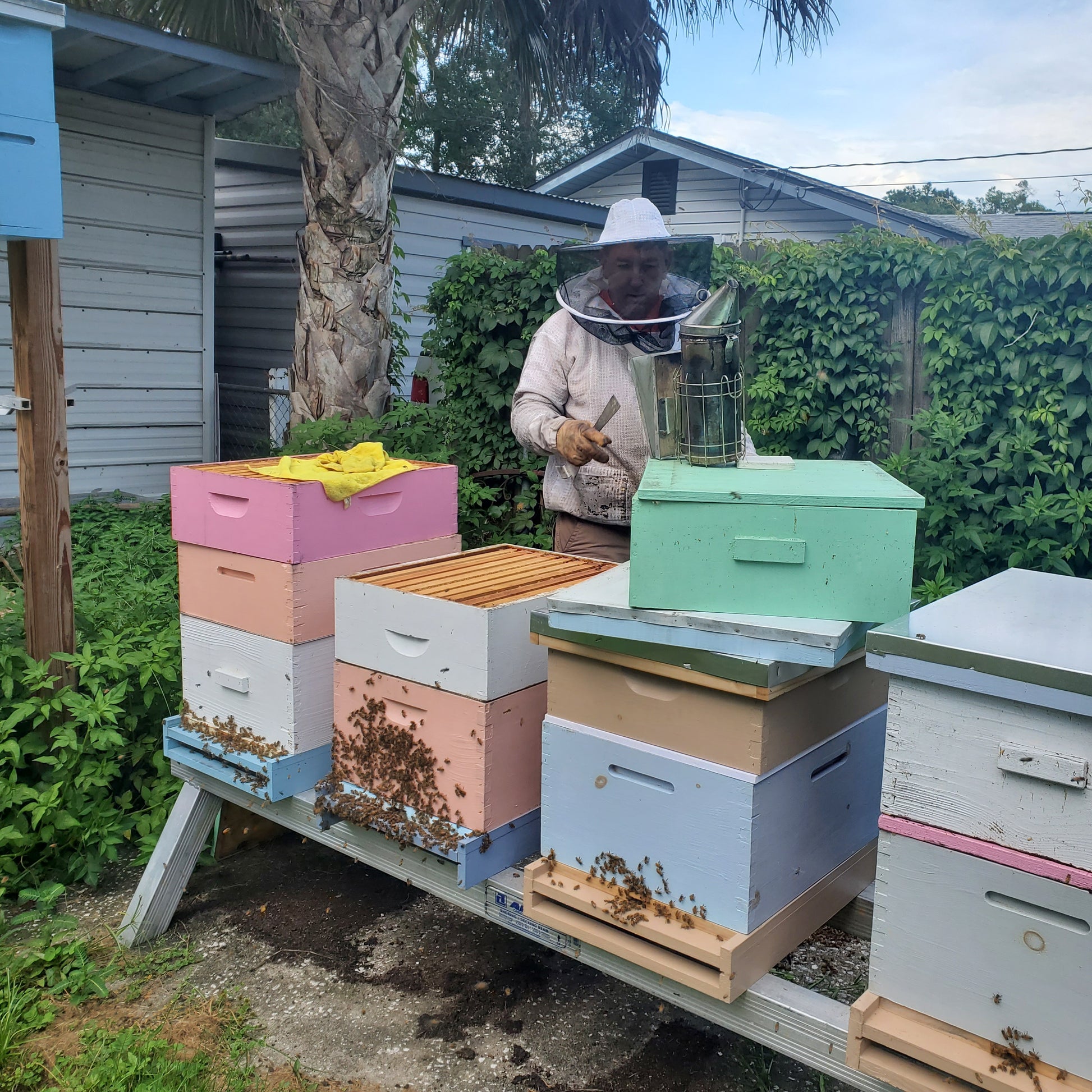 Person in a beekeeper's suit tending to colorful beehives outdoors.